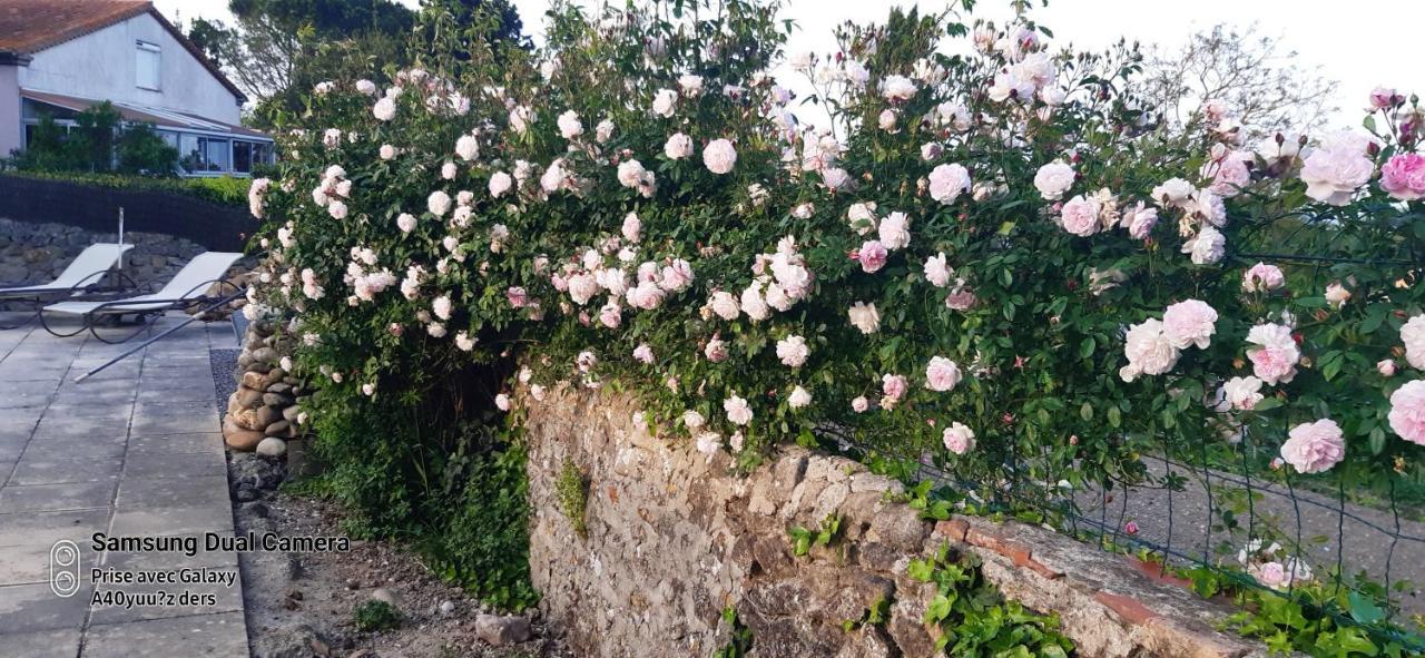 La Medeenne Alairac Bagian luar foto